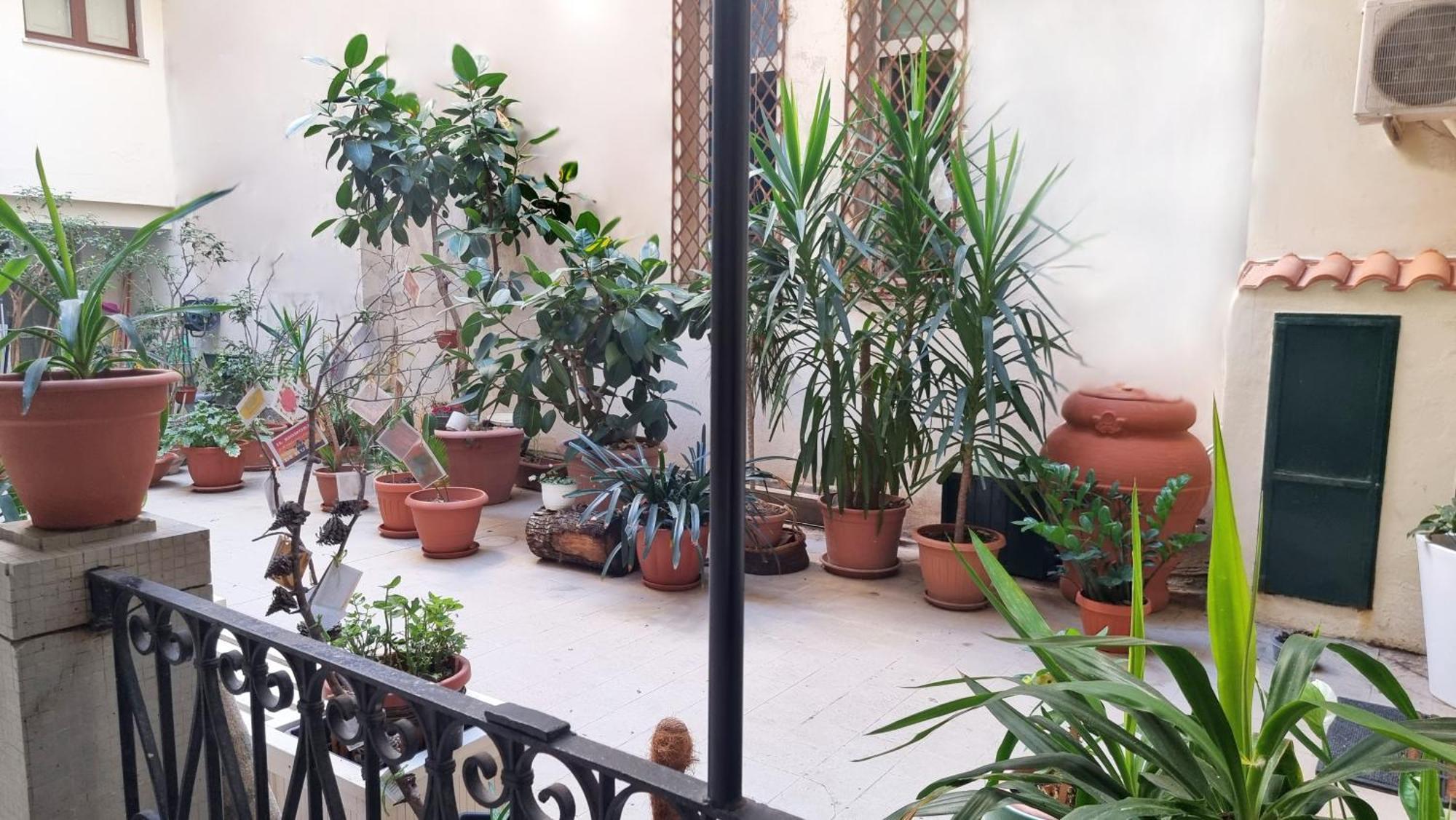 Loft Magna Grecia Reggio Calabria Centro Storico A 3 Minuti A Piedi Dal Mare Lägenhet Exteriör bild